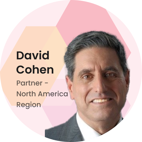 David Cohen - Partner - North America Region - Euphoria Consulting